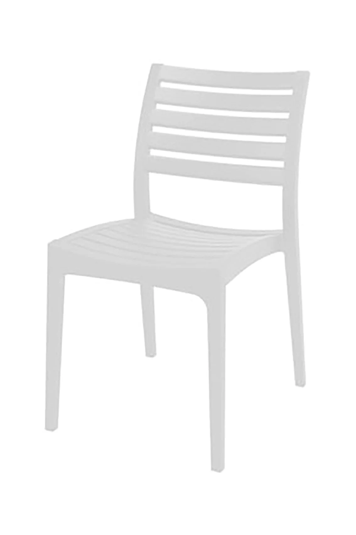 MONTE white.jpg
