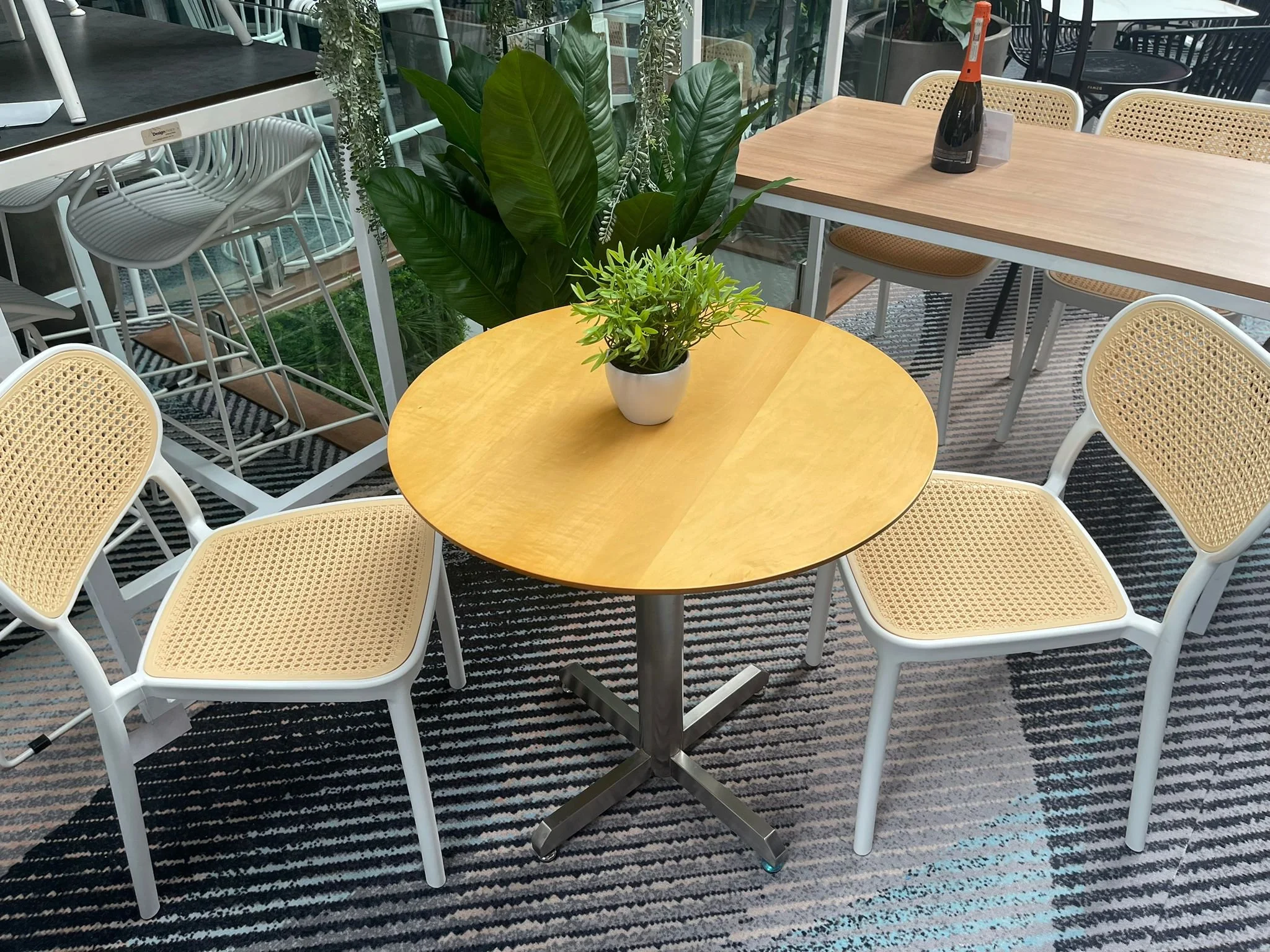 WhatsApp Image 2023-03-29 at 4.16.38 PM.jpeg