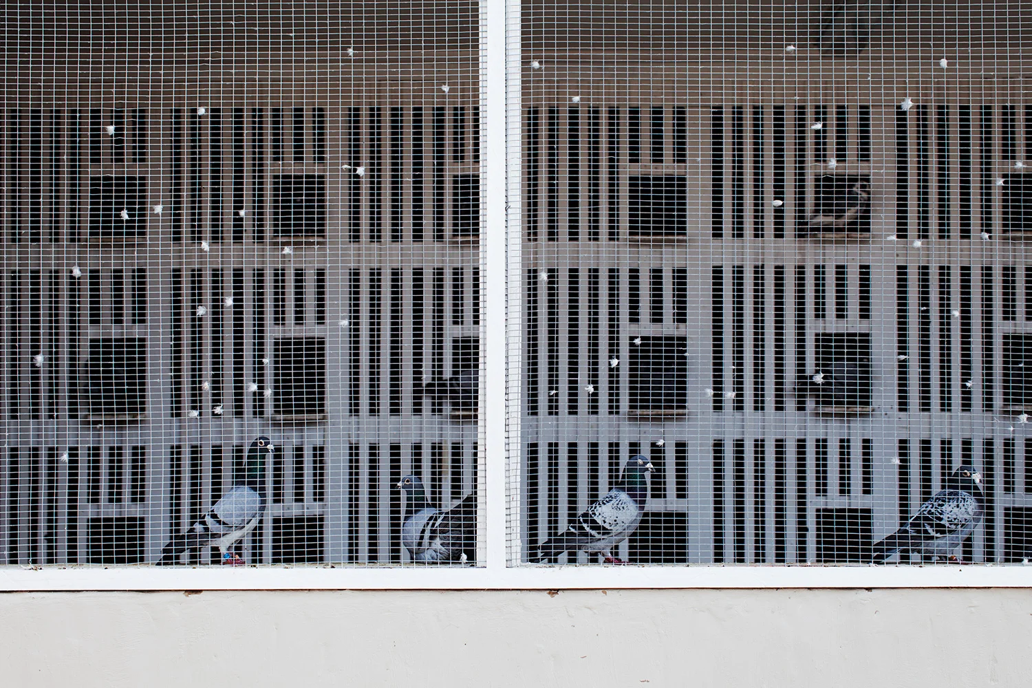 PhotographingOtherSelves_MikeEngelbrecht_HMP_01.jpg