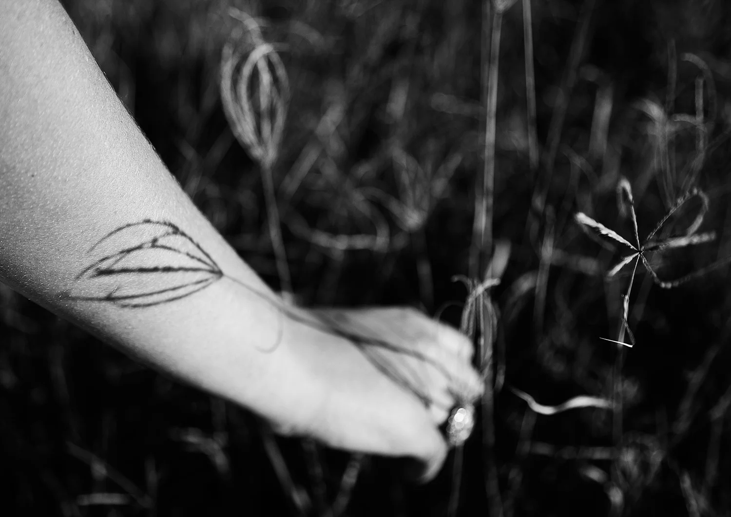 5_ExperimentsWithLight_HMP_Shadow&Light_15.jpg
