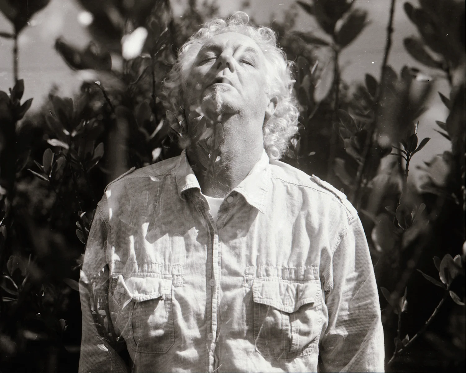 7_ExperimentsWithLight_HMP_Foliage&Dad_11.jpg