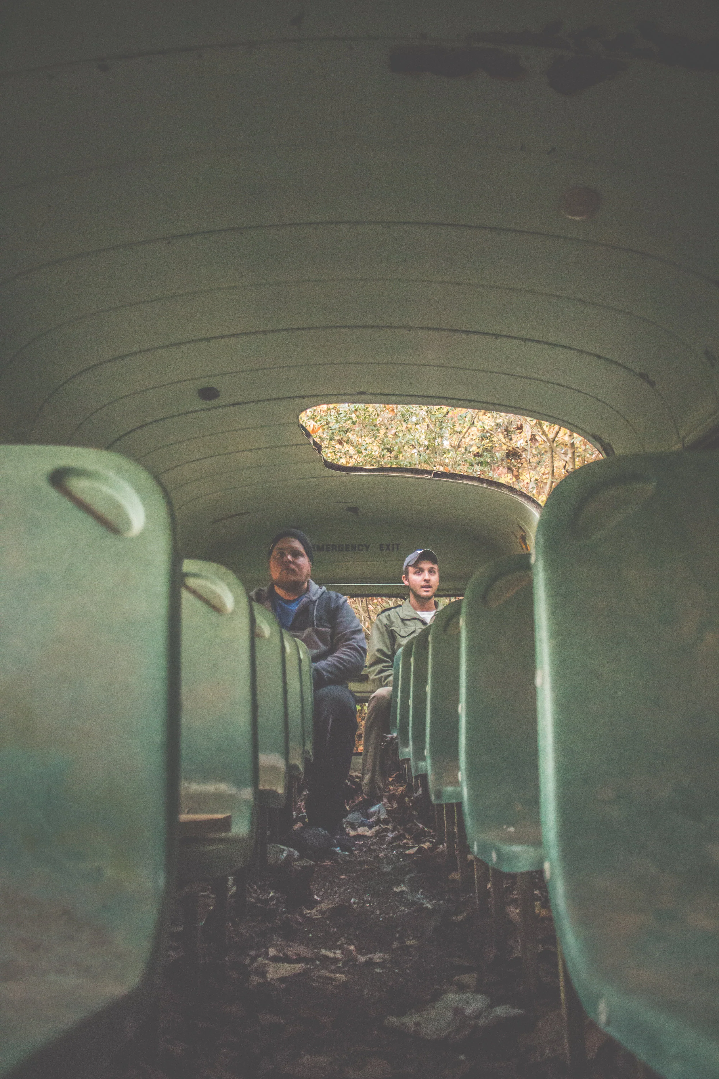 Wildwood (1 of 42).jpg