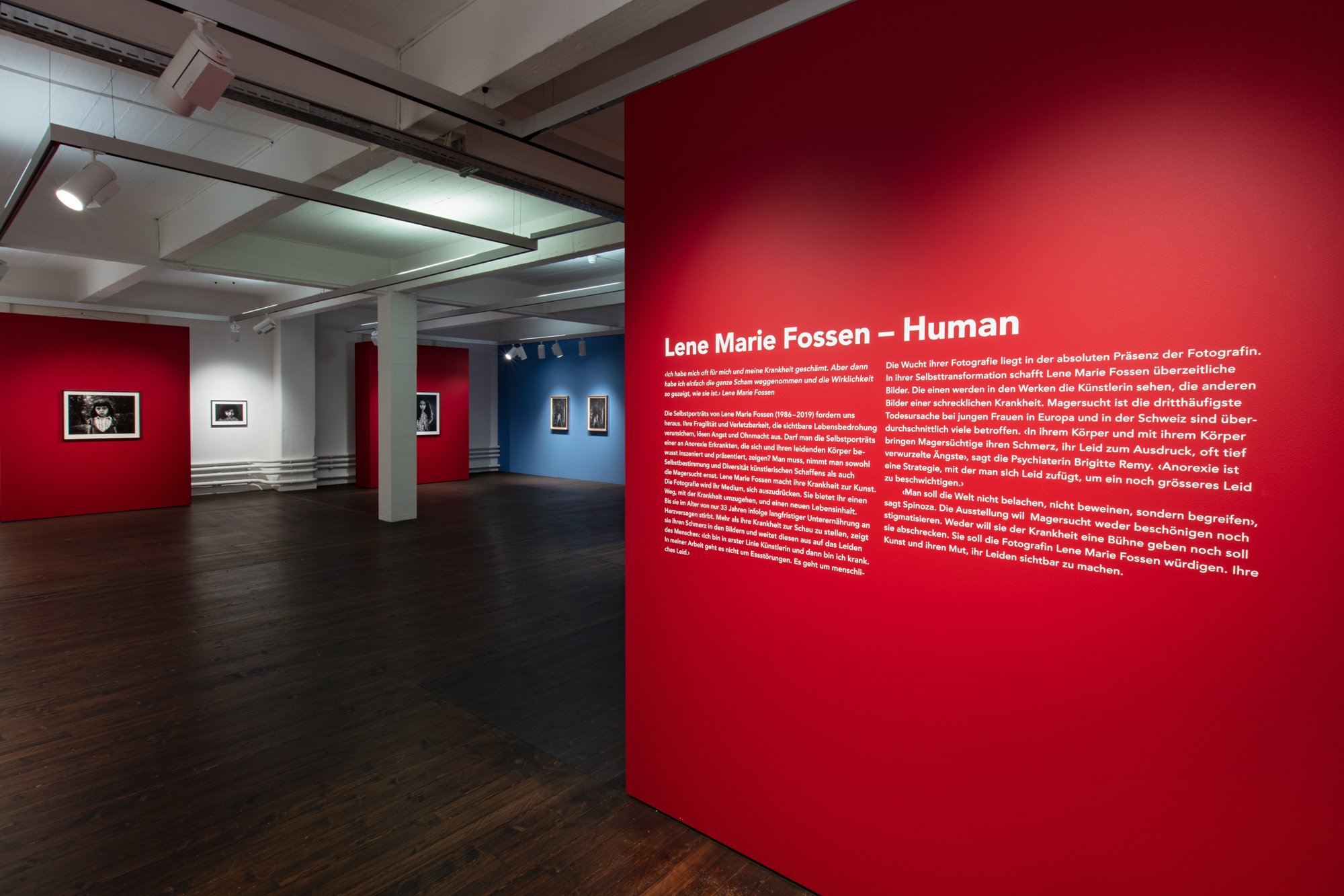 Lene Marie Fossen - Human - Museum im Lagrhaus