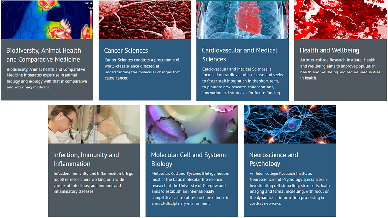 Screenshot from the MVLS Research Institutes webpage.