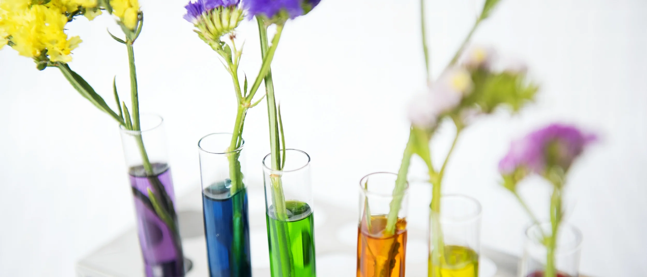 Panto Science: fun for everyone!