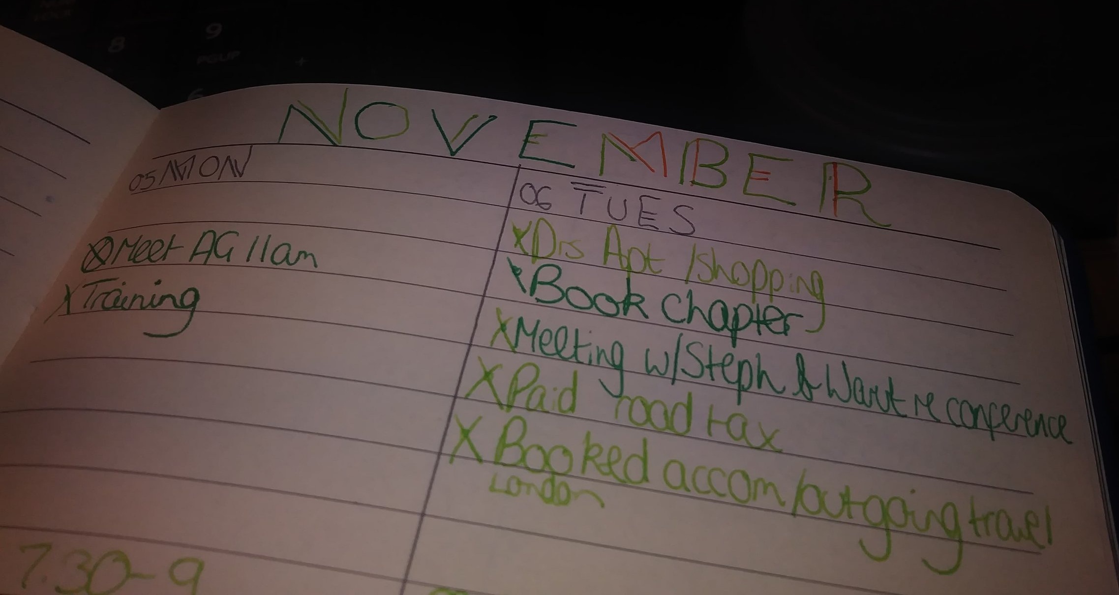 A page showing from a bullet journal showing the tasks from two days in November