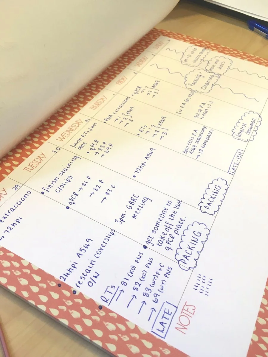 Photo of a weekly desk planner, it displays general tasks that need achieving on what day. The planner has days of the week in white columns and is placed on top of a boarder which is pink with beige raindrops.