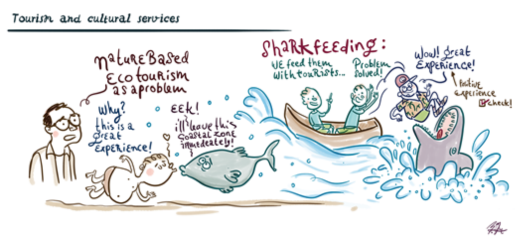 Examples of how tourism and cultural services affect the marine ecosystem. Picture taken from Thébaud and colleagues (2017), published by Oxford University Press on behalf of International Council for the Exploration of the Sea 2017. This work is written by a US Government employee and is in the public domain in the United States.