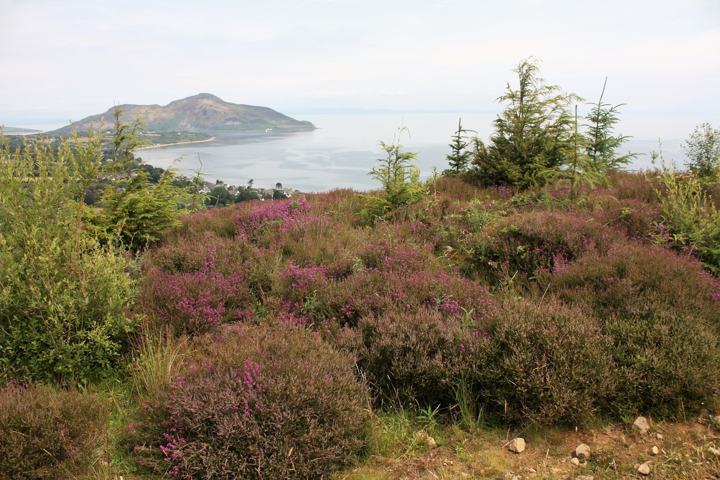 Views of Holy Island from Giant’s Graves.