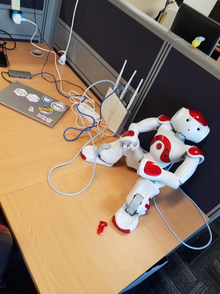Anna’s robotic friend Nao.