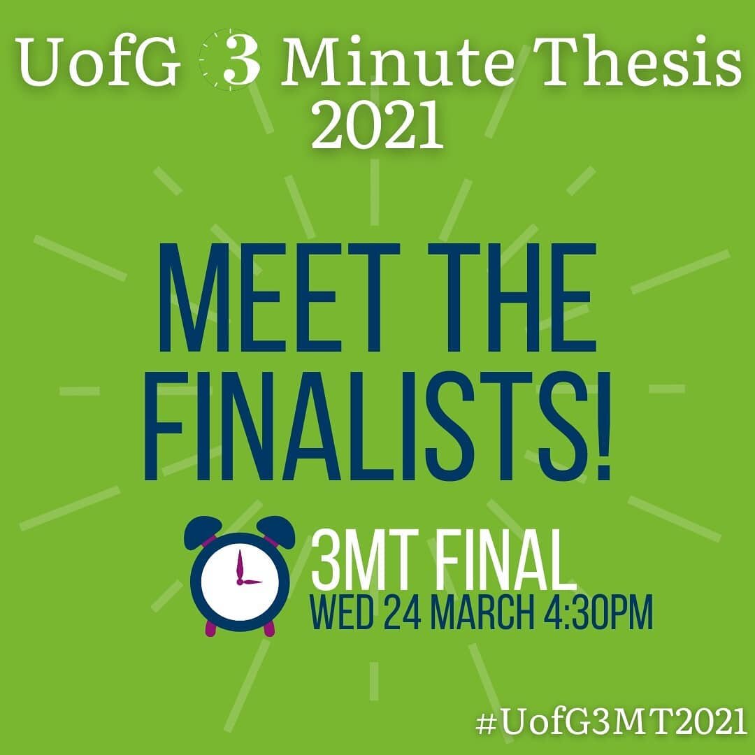 Literature review uofg image