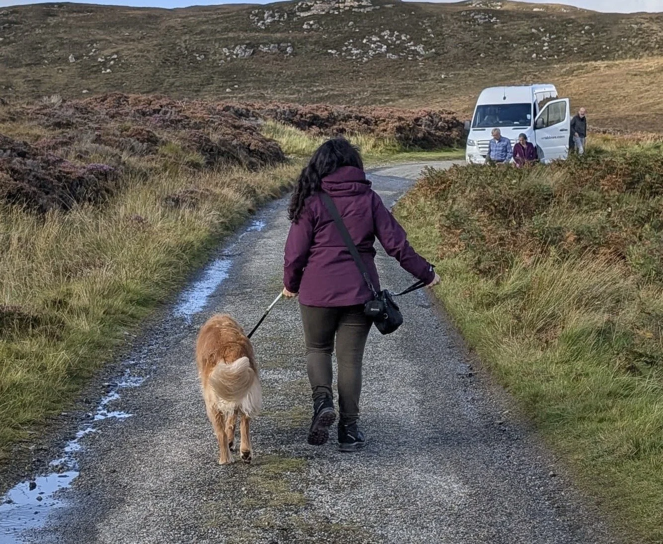 Turning the Page: The different ways of overcoming uncertainty &amp; transition periods