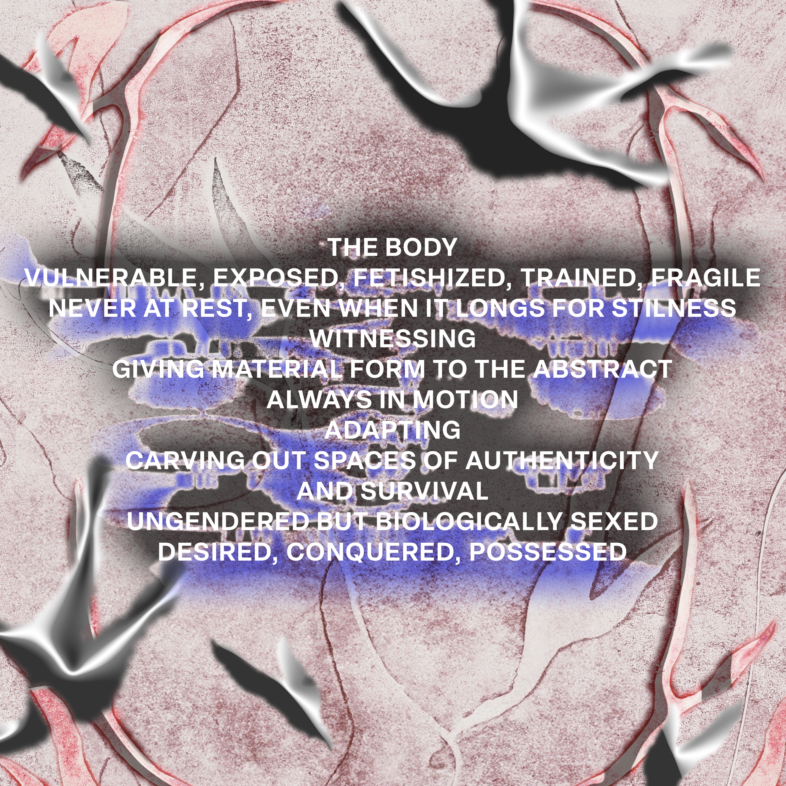 INSTA text Kule .png