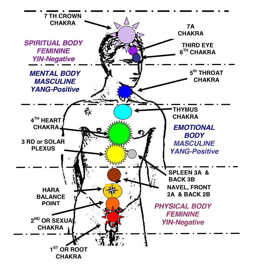 chakra-diagram-in-the-body.jpg