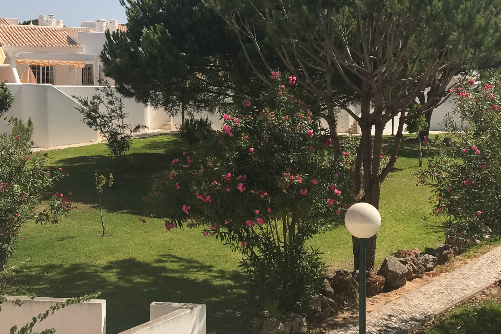 IMG_0014_LR.jpg