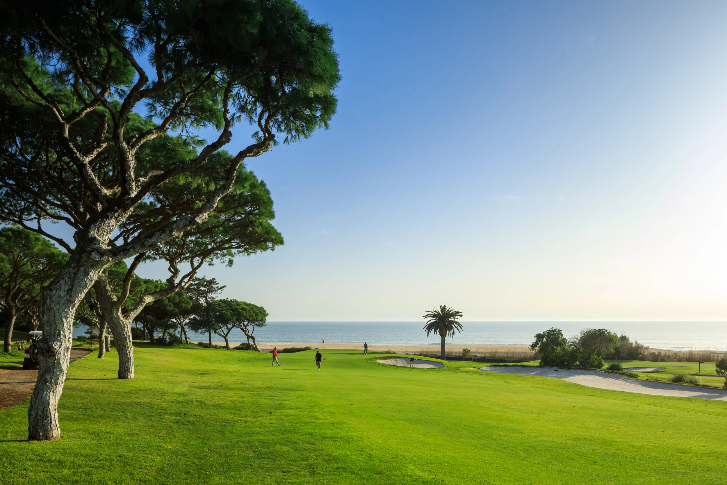 20170310_VDL_GeneralGolf_003.JPG