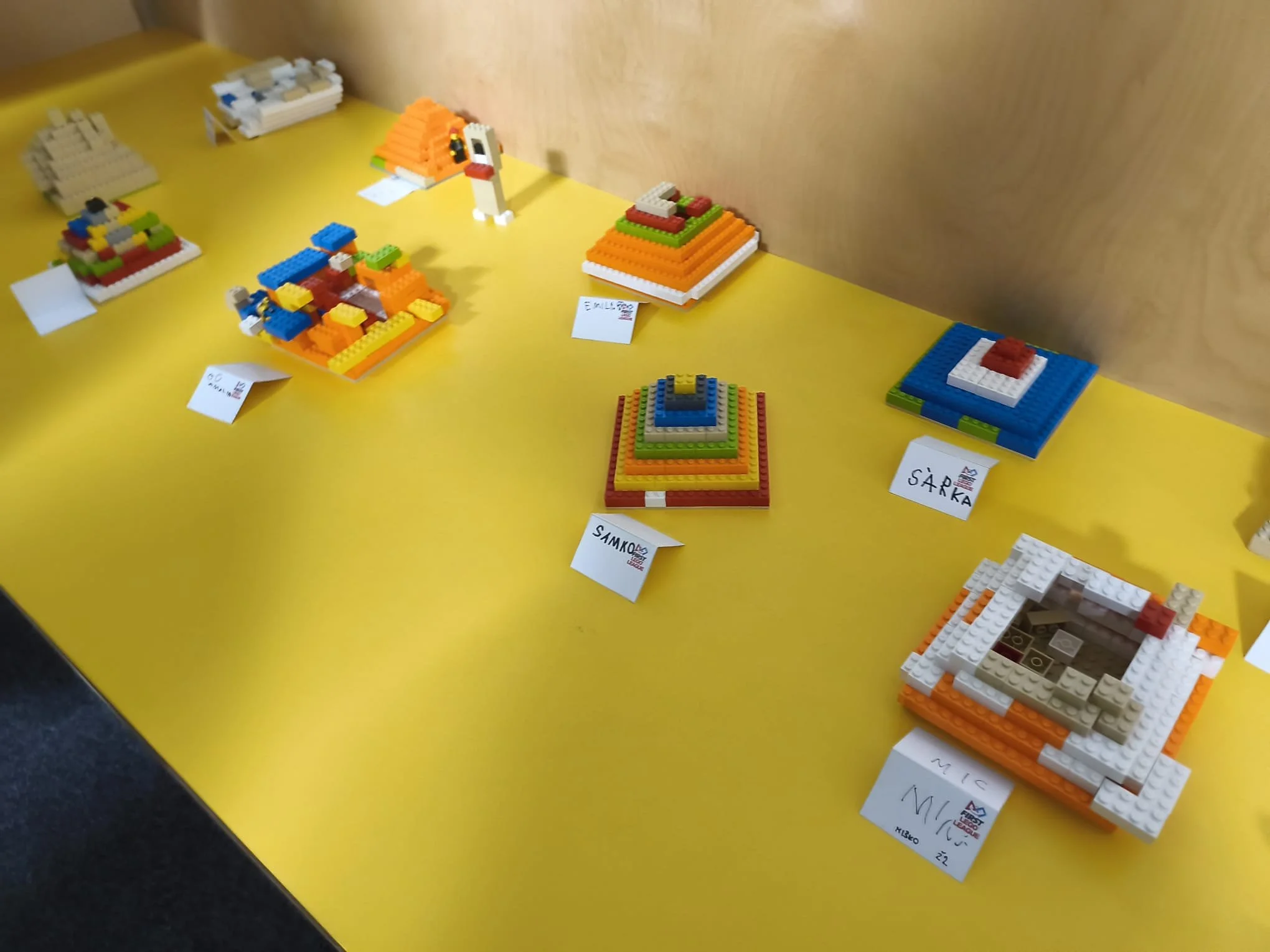 WhatsApp Image 2026-01-28 at 15.38.29 (1).jpeg