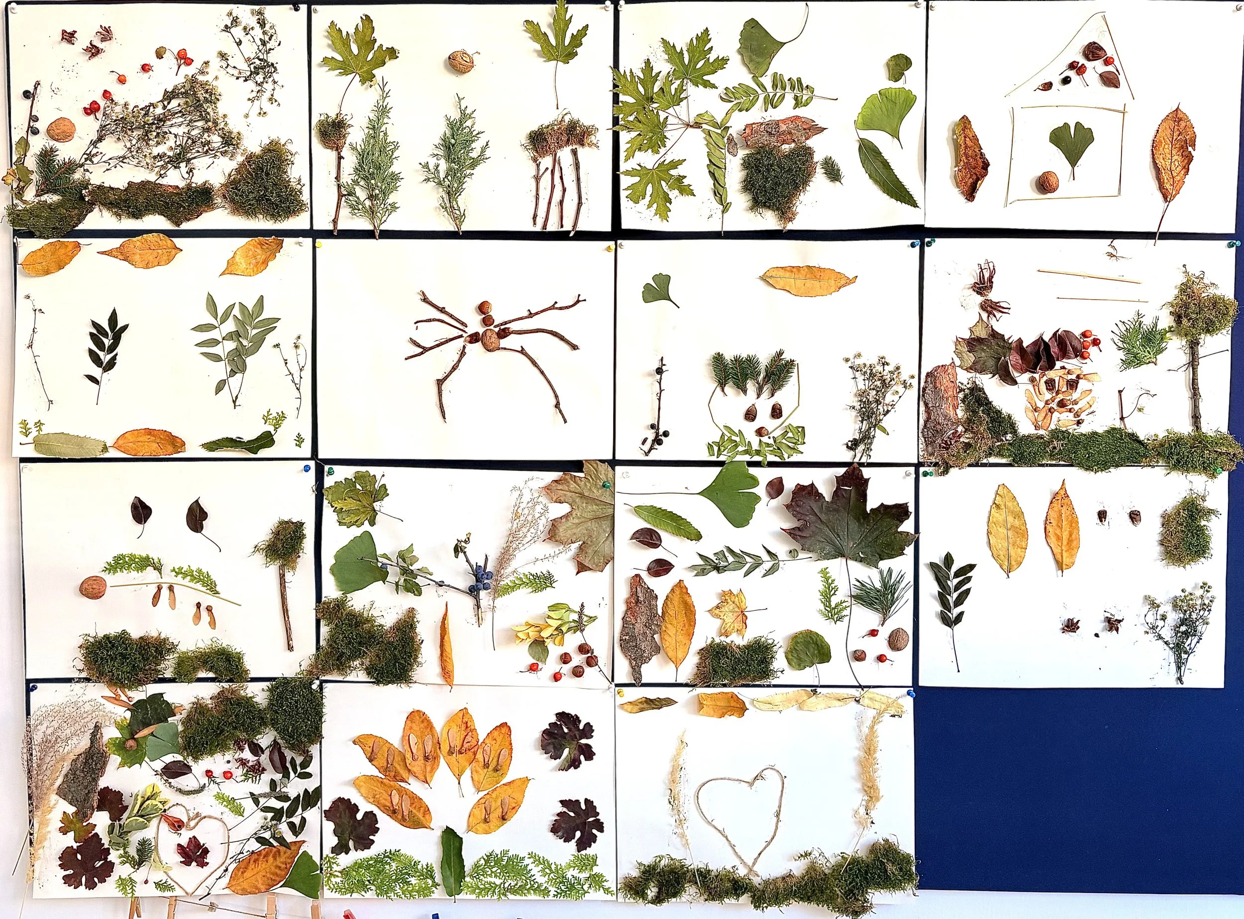 Image (17).jpg