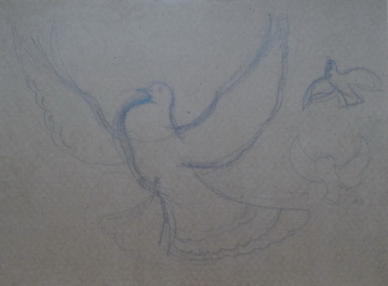 1986, Holub, kresba na papieri, 42 x57 cm