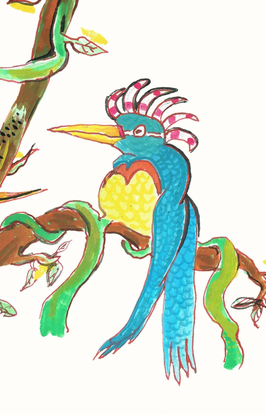 portrait-anne's-birdssnip.jpg