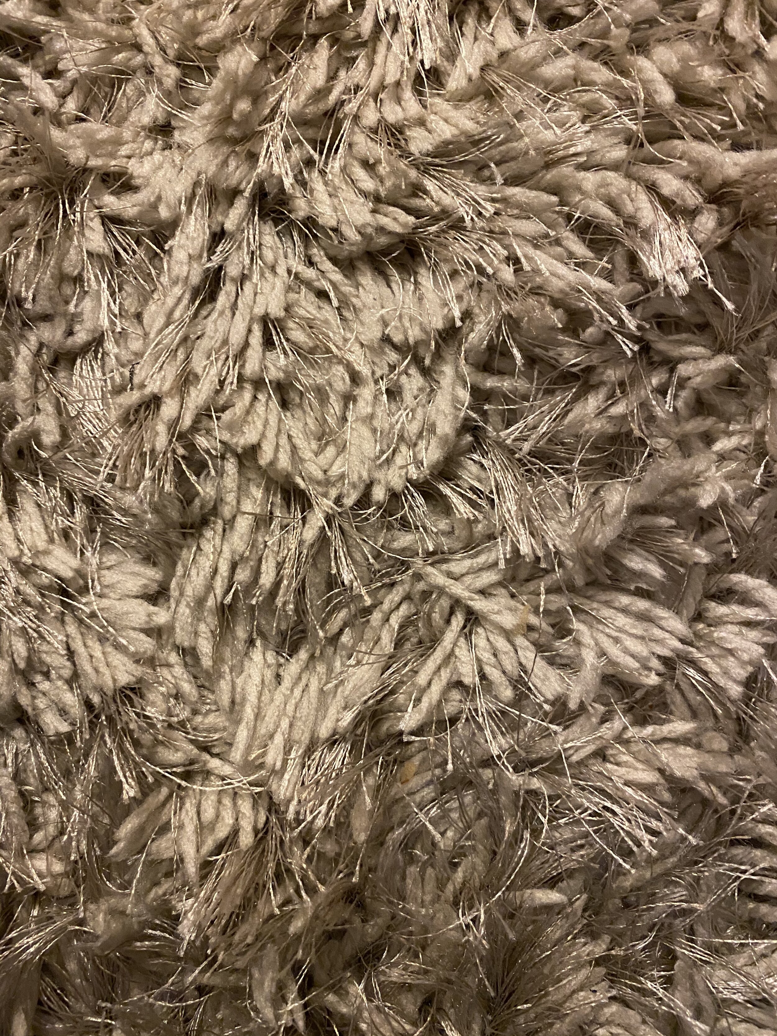 shag rug.jpg