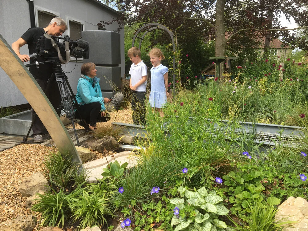 Greening Cities UCL Online Seminar: Rain gardens, nature and community