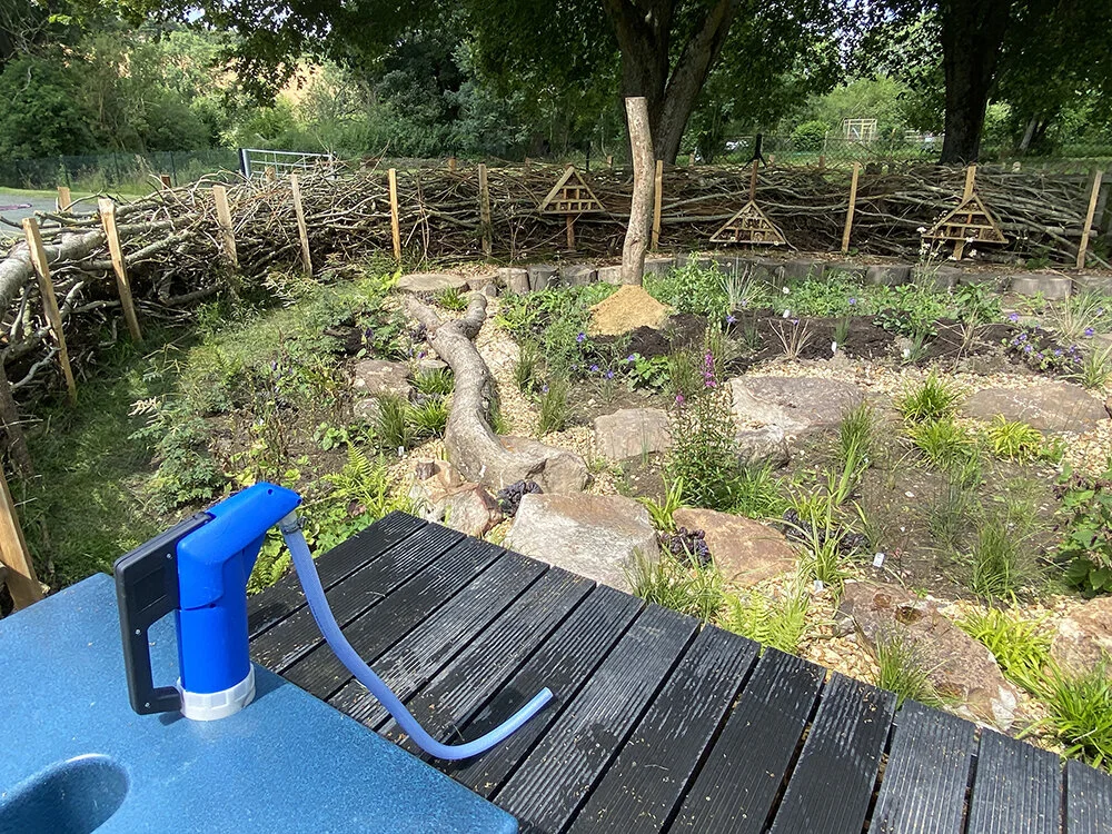 IMG_6808 use WEB.JPG