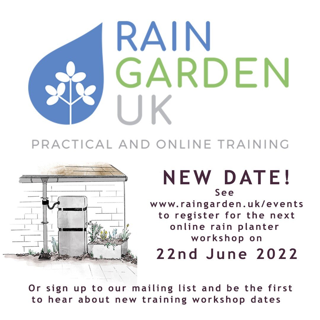 Rescuing Rain | How to Build a DIY Rain Planter
Join my next online workshop for @raingardenuk - four hours of shared genius with Charlotte from @riverkennet - only a few spaces remaining.
All you need to know to create your own DIY rain planters and