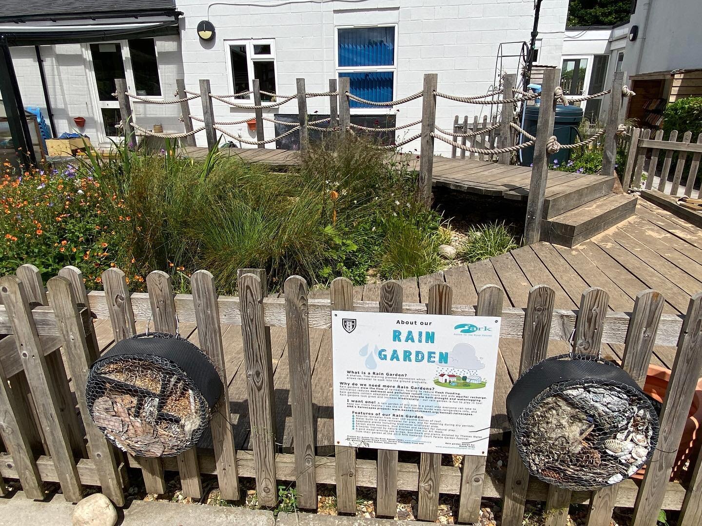 Open today! The #raingarden I designed at Aldbourne Primary School for @riverkennet looking great in the sun, all details of the #wildlifefriendly open gardens Sun 26th June 2022 here: https://www.carbonneutralaldbourne.co.uk/aldbourne-open-gardens-2