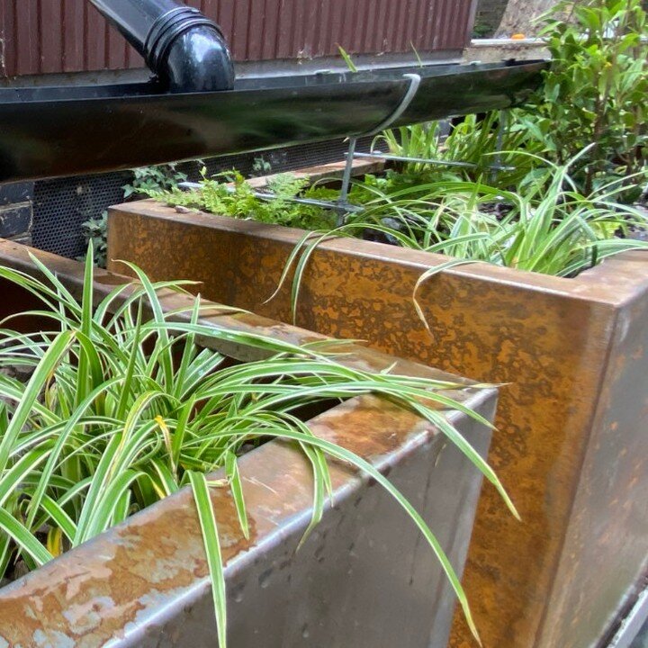 @wendyallendesigns - I led a #rainplanter construction workshop this week to create not one but TWO rain planters which capture, store and slow rainwater from a downpipe @UCL. 
**
I've designed one of the rain planters with the usual layer order &nda