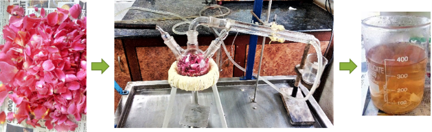 I am now re-creating the extraction process prototype back at Bath