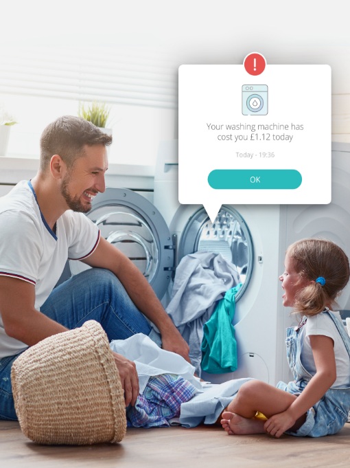 Screen+Shot+2019-05-01+at+12.21.16.jpg