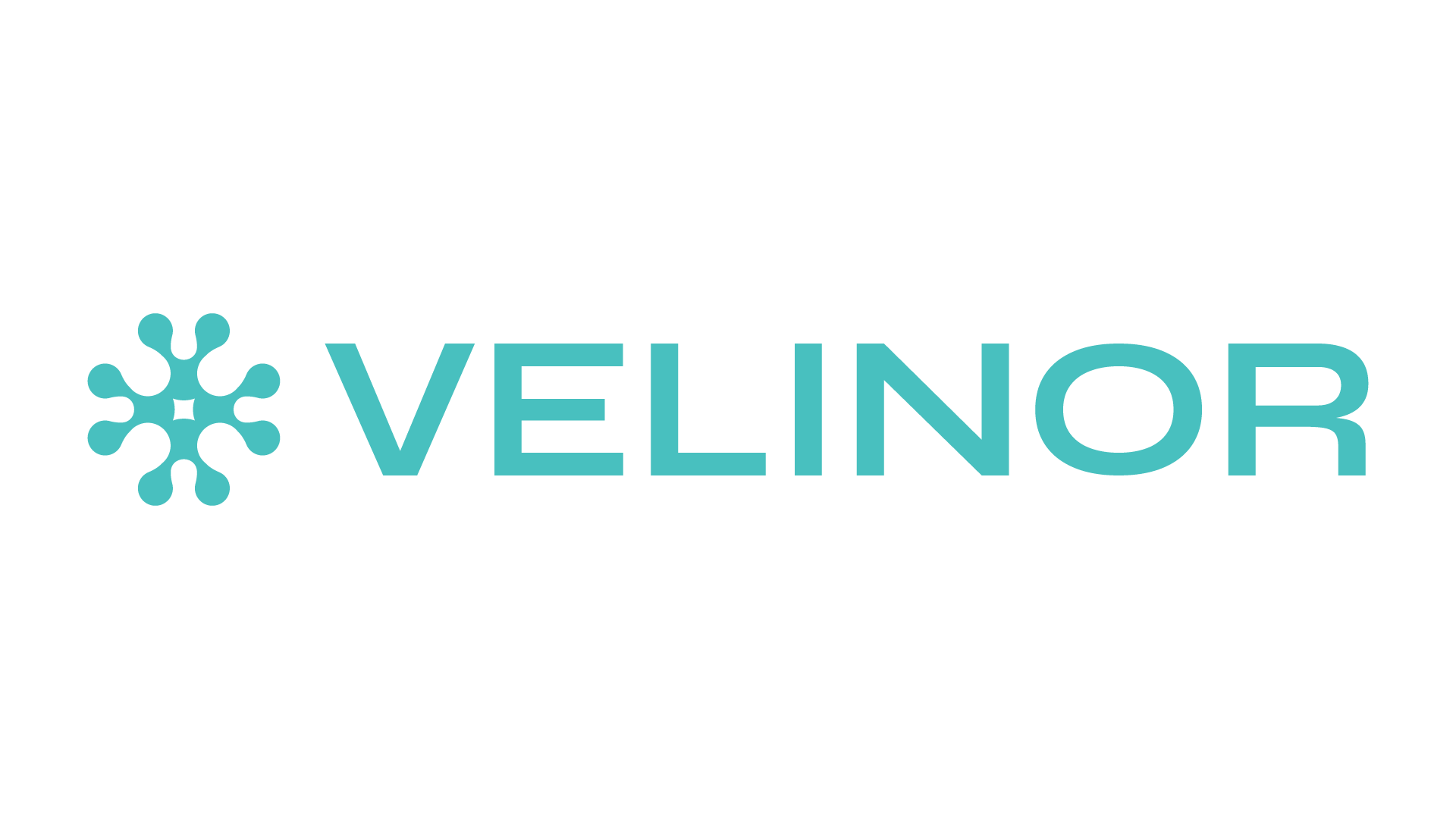 Velinor AI Ltd