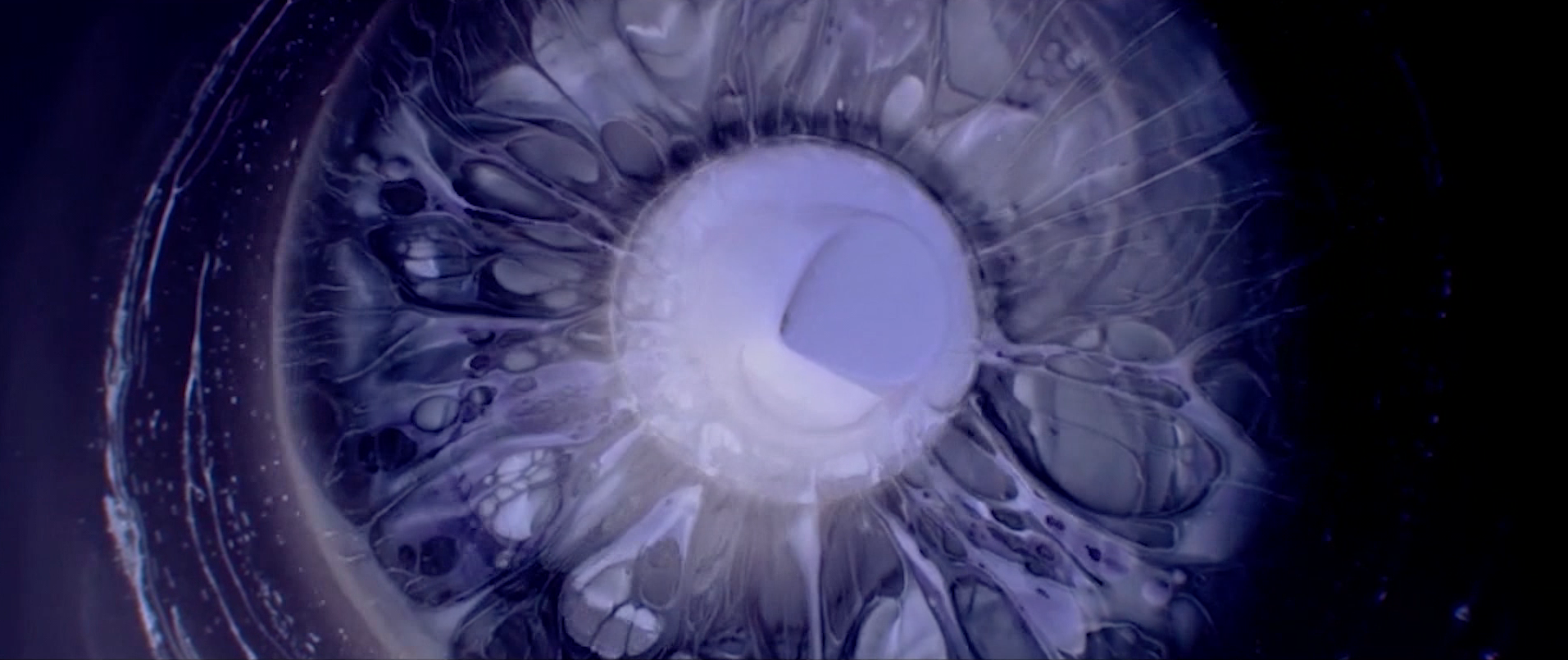 Screen Shot 2019-07-15 at 1.06.57 PM.png