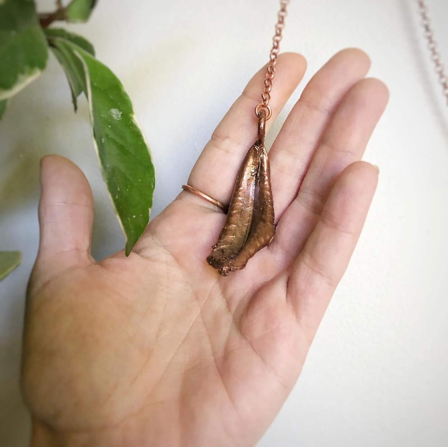 8D02B359-D291-4411-9CA0-34091061D82B