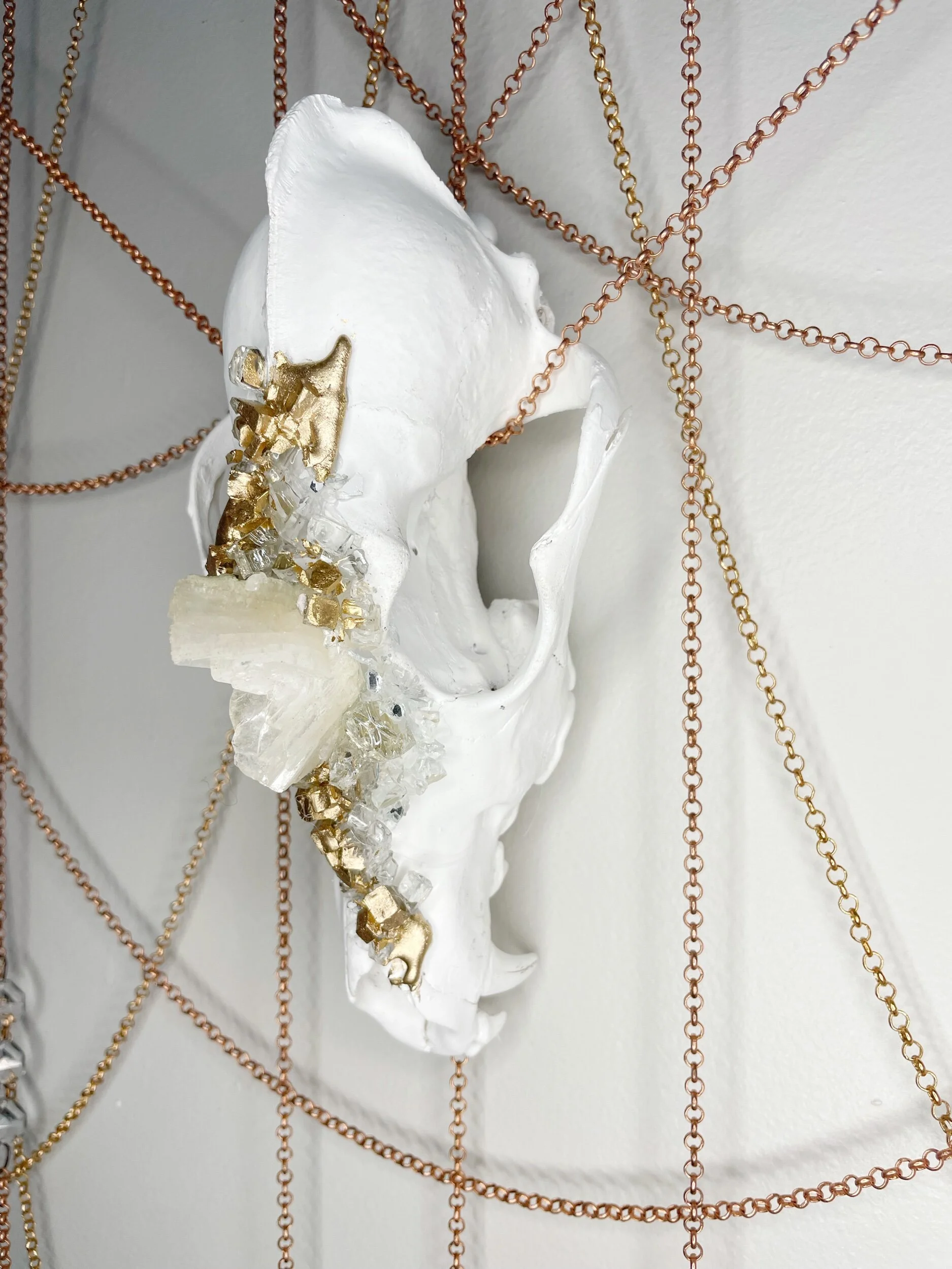 EB43BC10-16E8-4C00-92AD-7B79831B4882