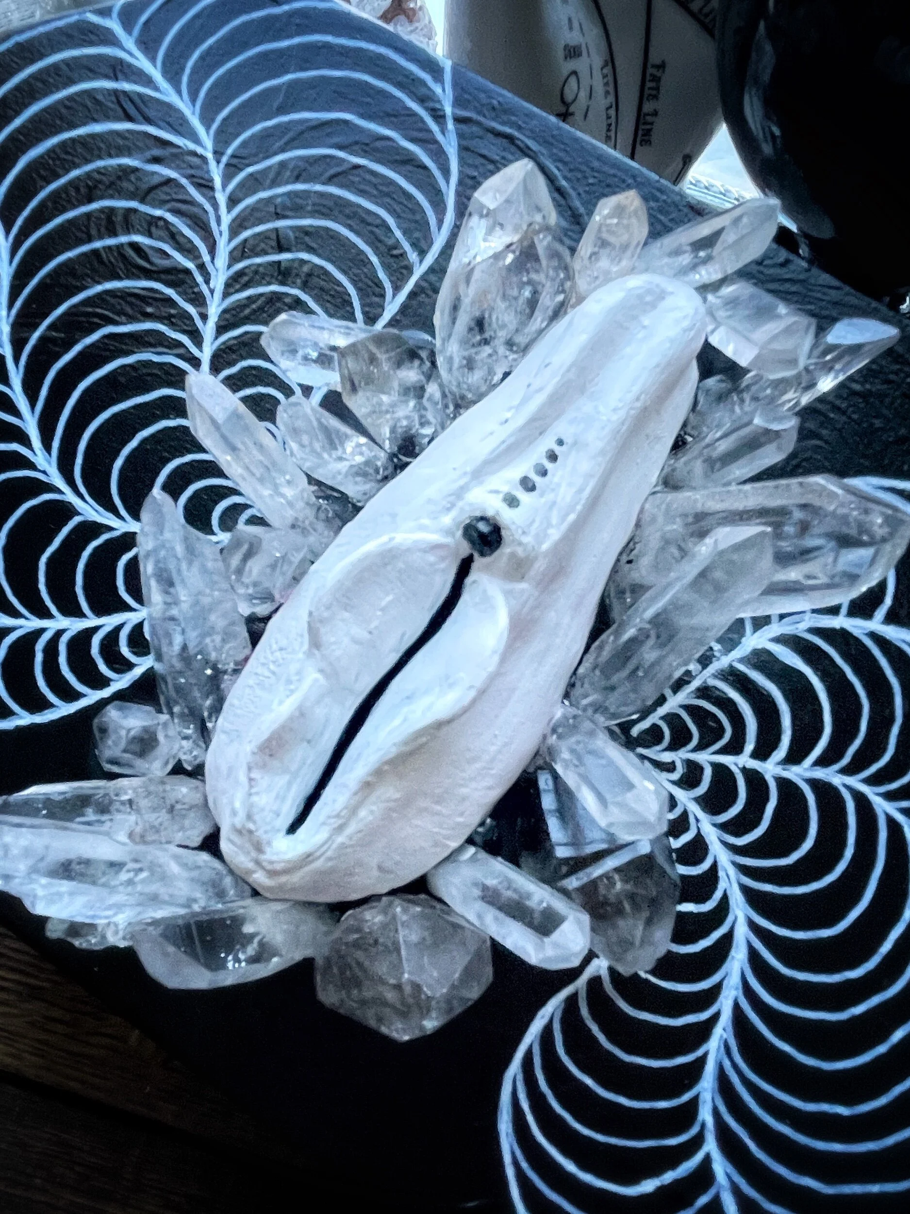 7644763E-EBAB-4AAA-8236-792949449E9B