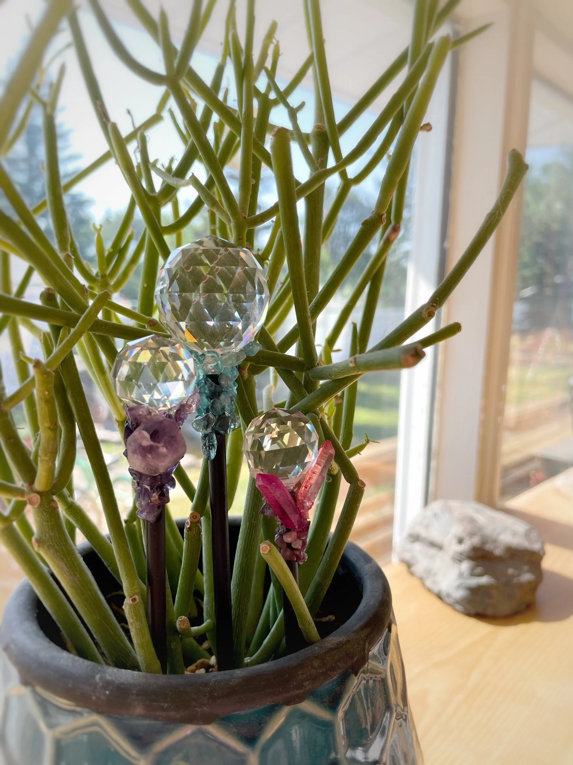 0C3B0B94-5460-44C6-B859-07D59EDAEE21