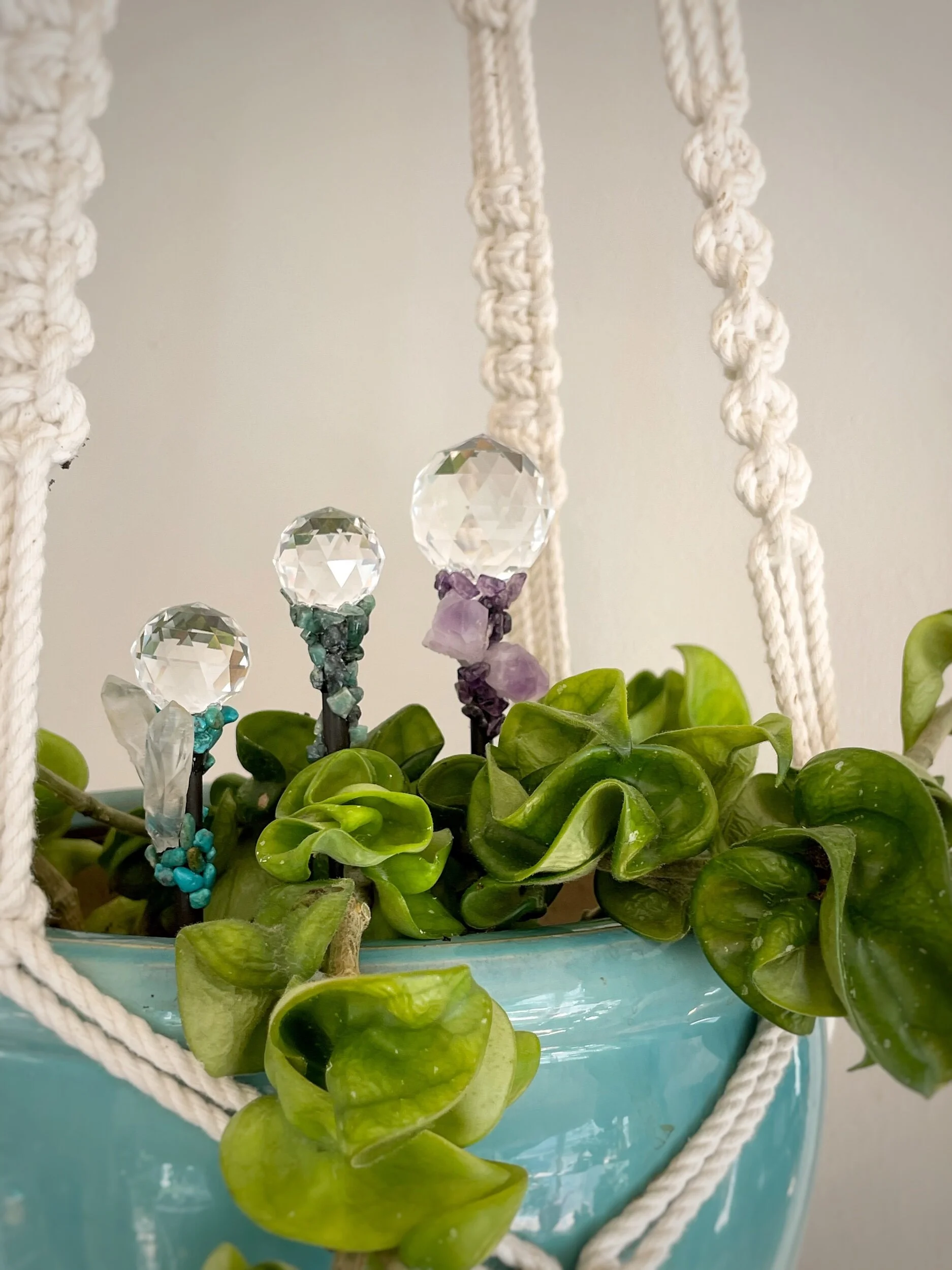 8A37E39B-E6FF-4EE3-866D-2006B2E0E2D2