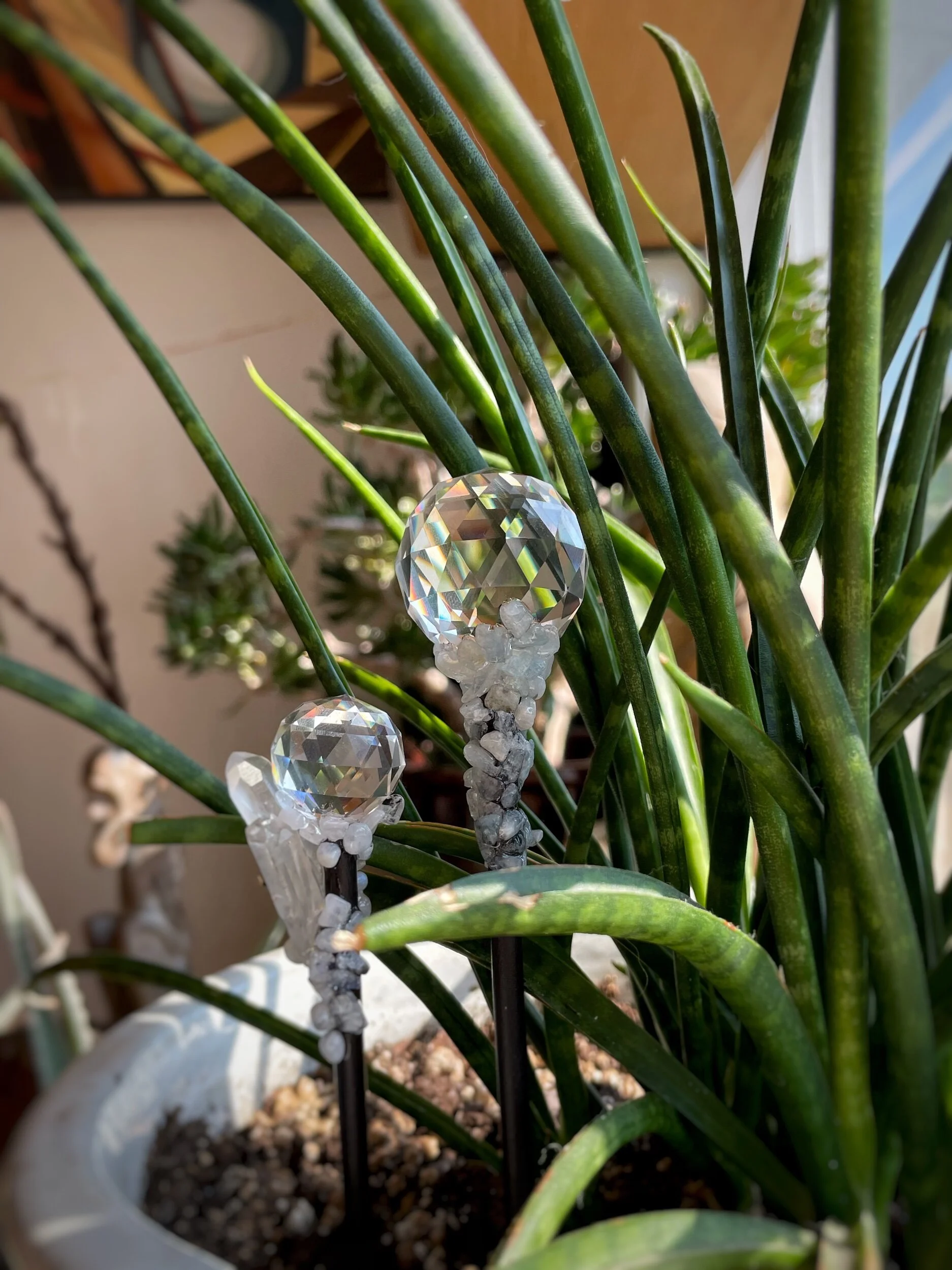 1D8CE499-D7EB-4EDD-9C12-667924A1C434