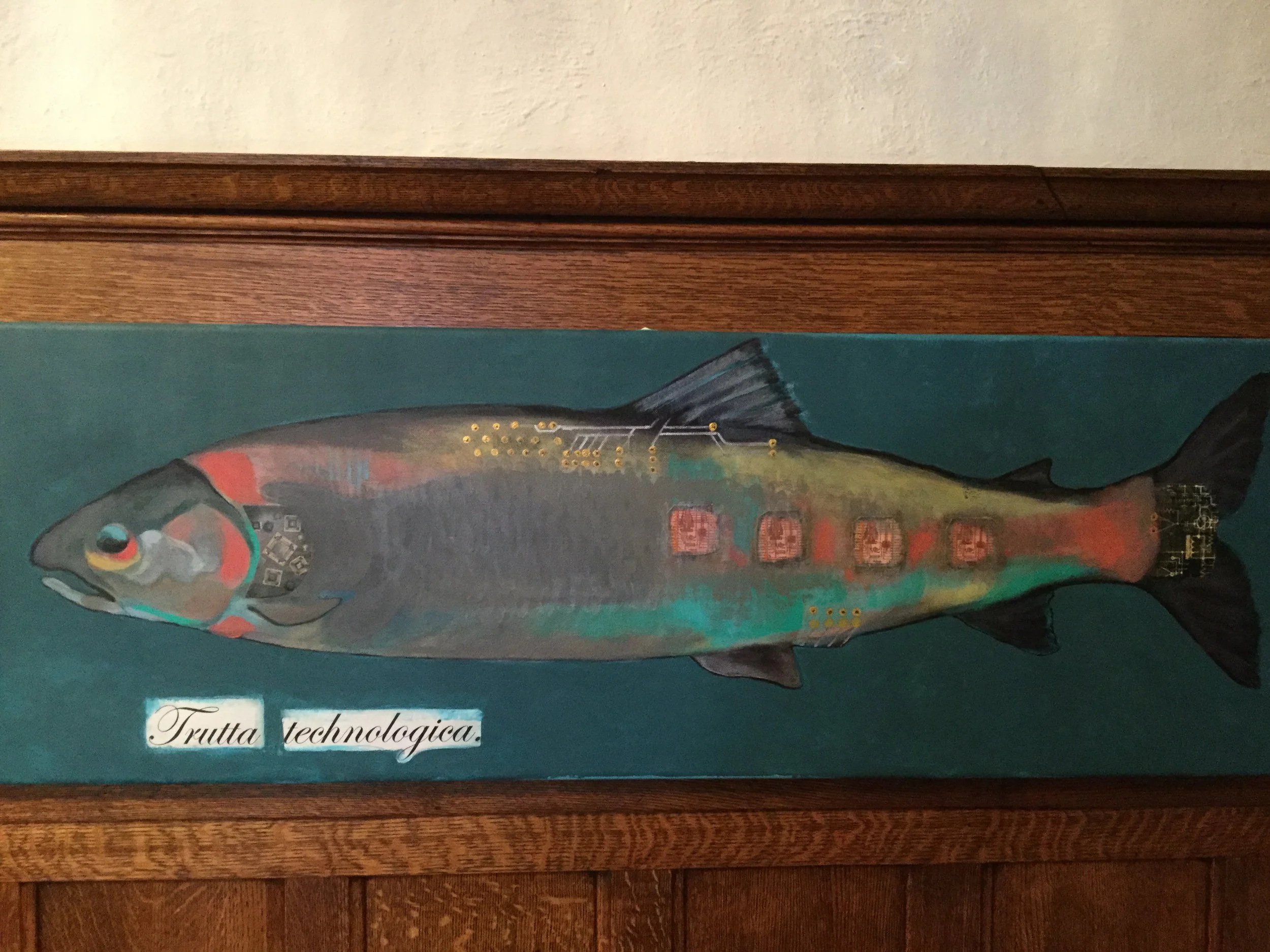 Trutta technologica