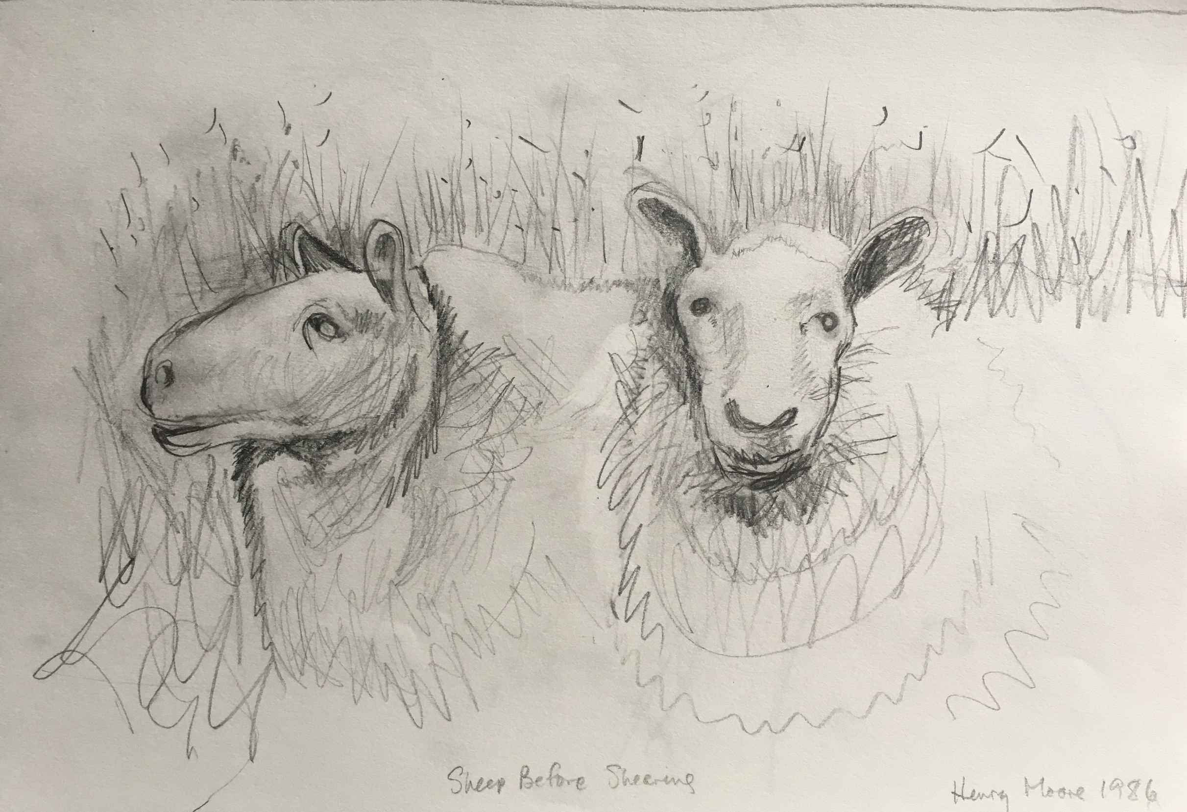 Sketch class, Art Gallery of Ontario