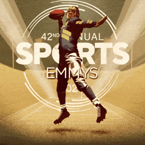 CBS 1x1 NOT  WIP04-low2.gif