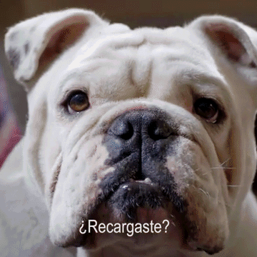 PREPAGO ROCKY-low.gif