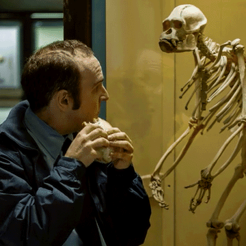 SPORTS APP MUSEO-low.gif