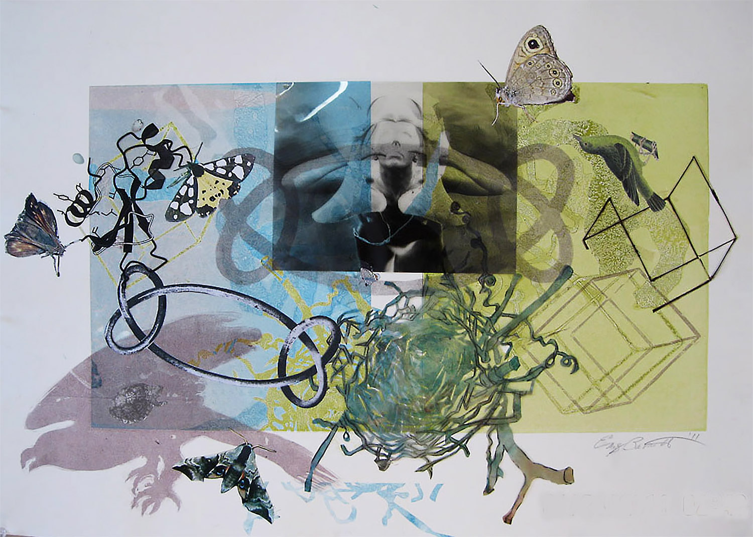  NestKnot 1, 2014, Silkscreen with Collage Elements, 22 x 30 