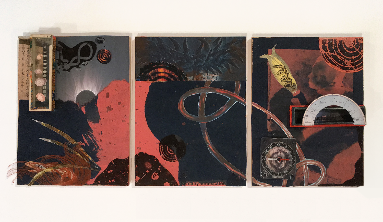 Many Timescales, 2018, Triptych on Board with Cyanotype, Acetate, Found Materials, 8 x 18