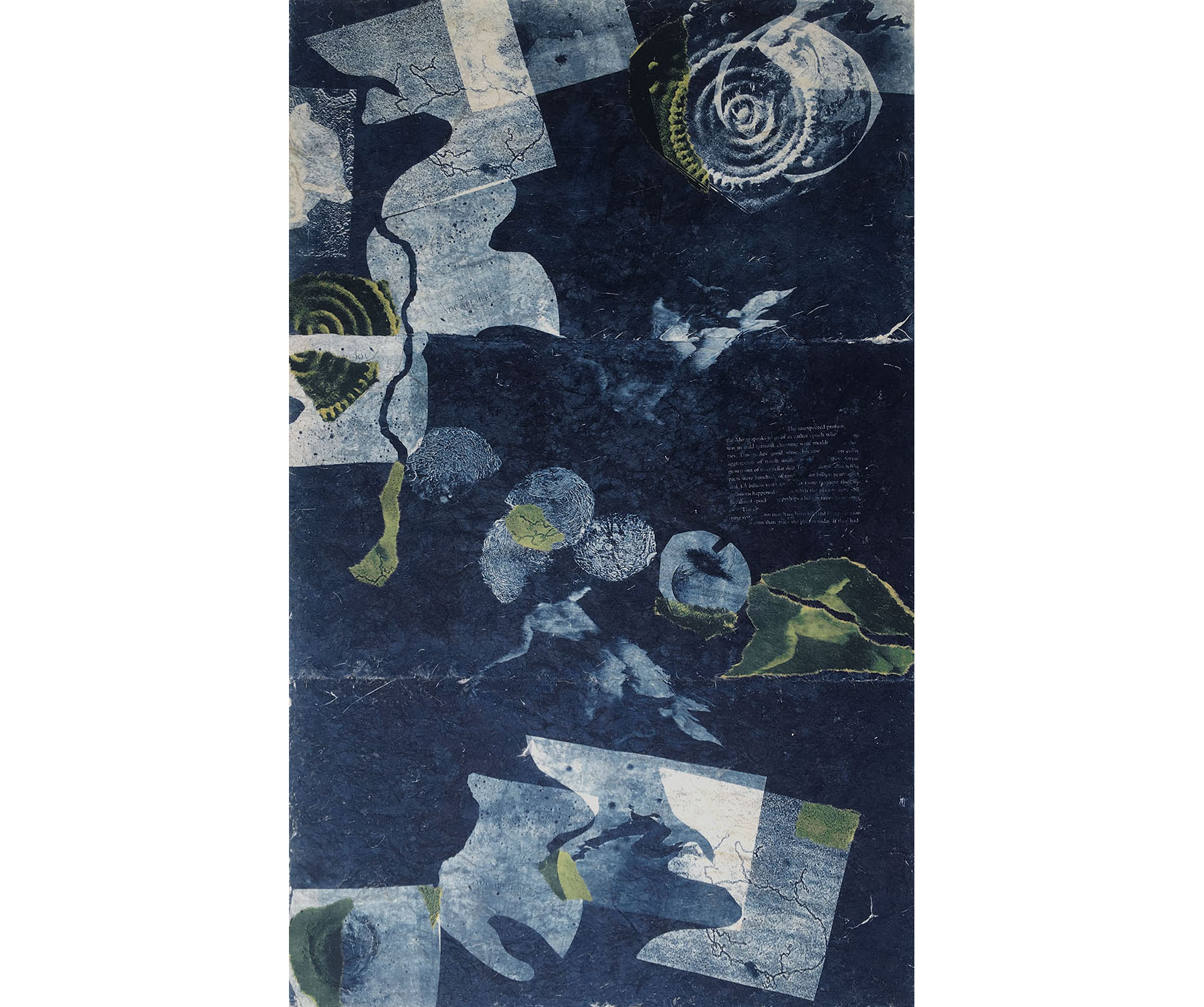  The Unexpected Profusion (You Are Here), 1997, Cyanotype with Chine Colle on Rice Paper, 44 x 24 