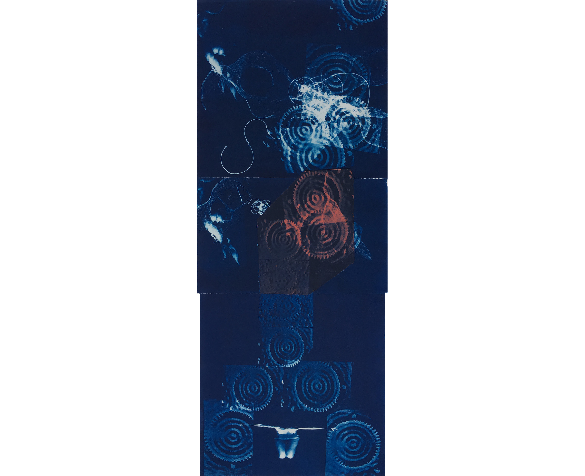  Quantum Corrals, 1997, Cyanotype, 50 x 20 