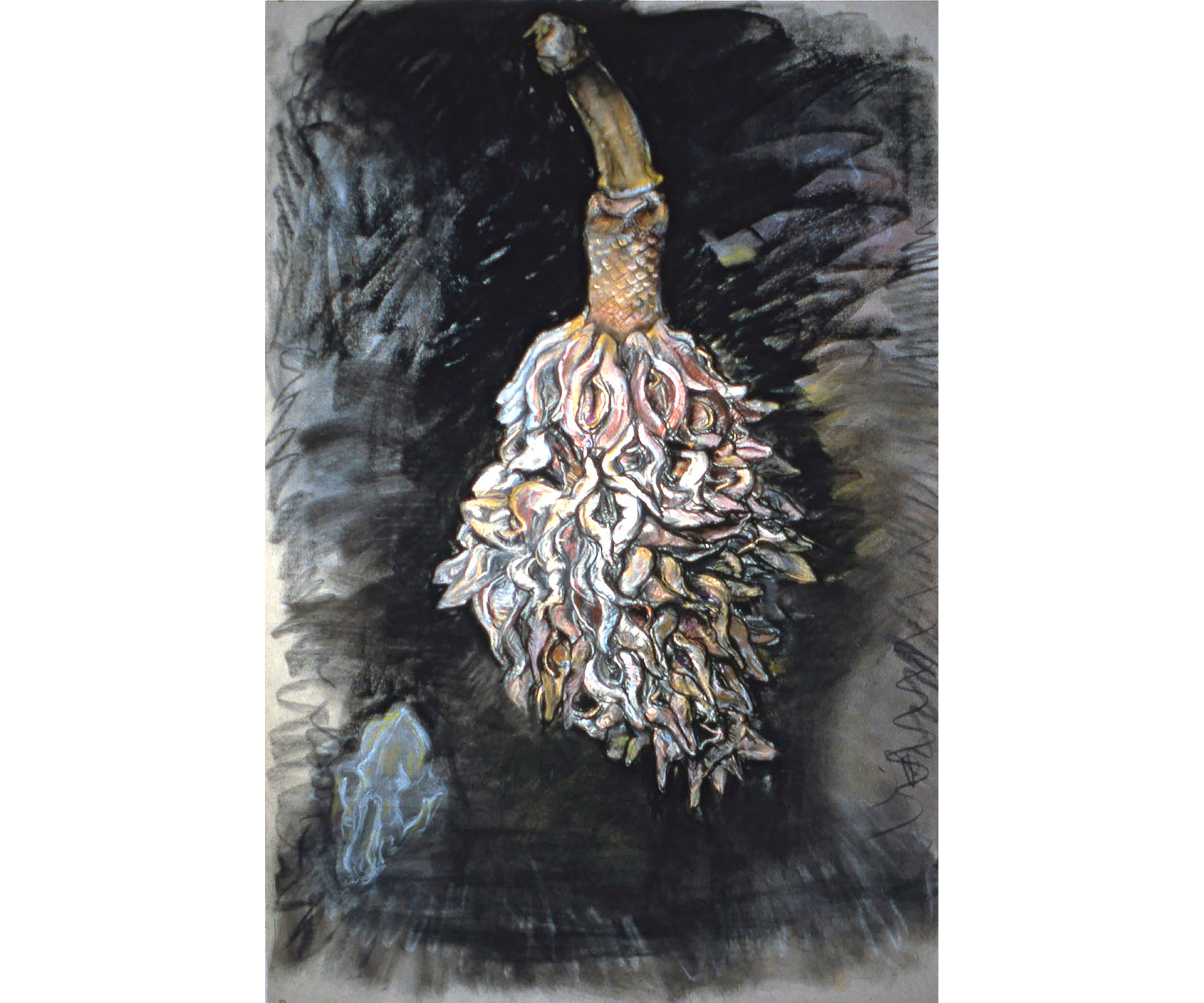 Magnolia Seedpod II, 2006, Etching with Charcoal and Pastel, 24 x 35